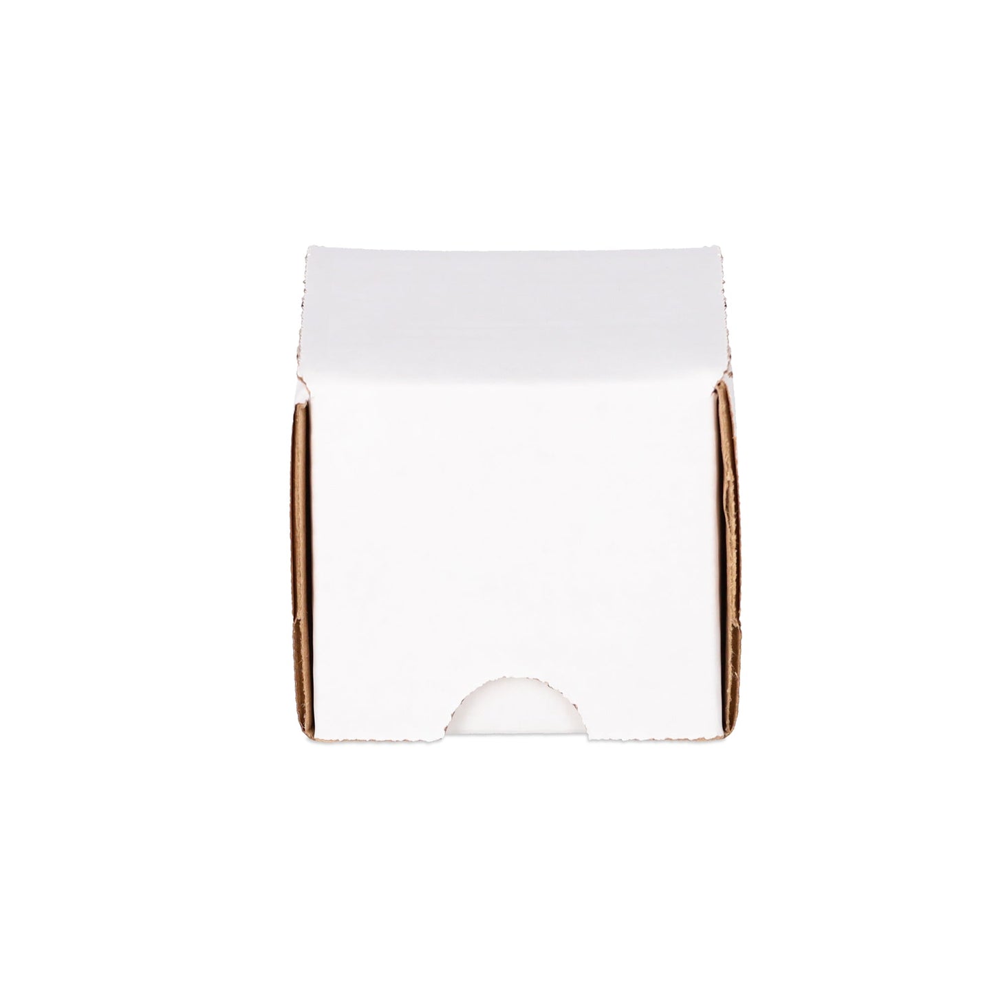 (50) 100 Count Storage Box