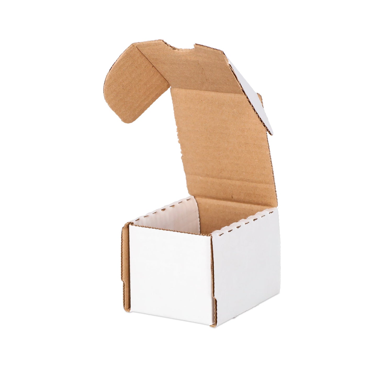 (50) 100 Count Storage Box
