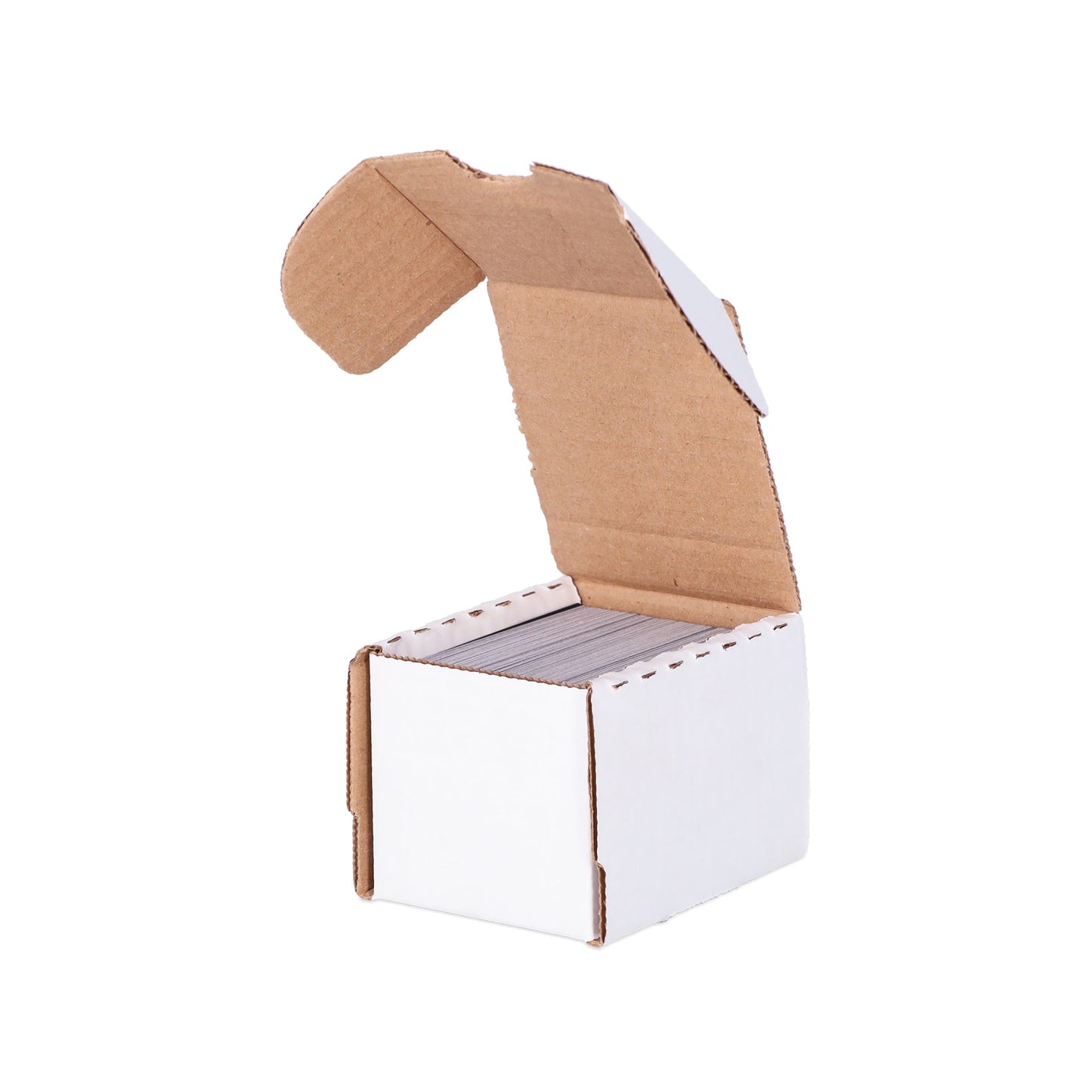 (50) 100 Count Storage Box