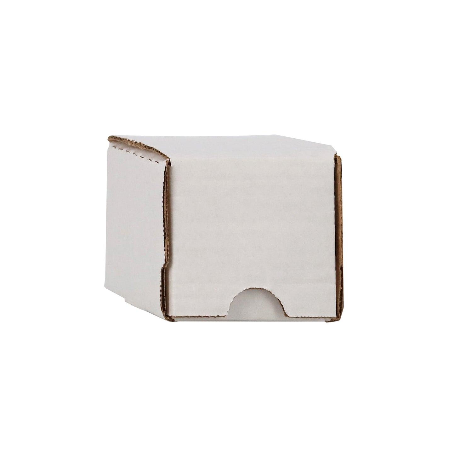 (50) 100 Count Storage Box
