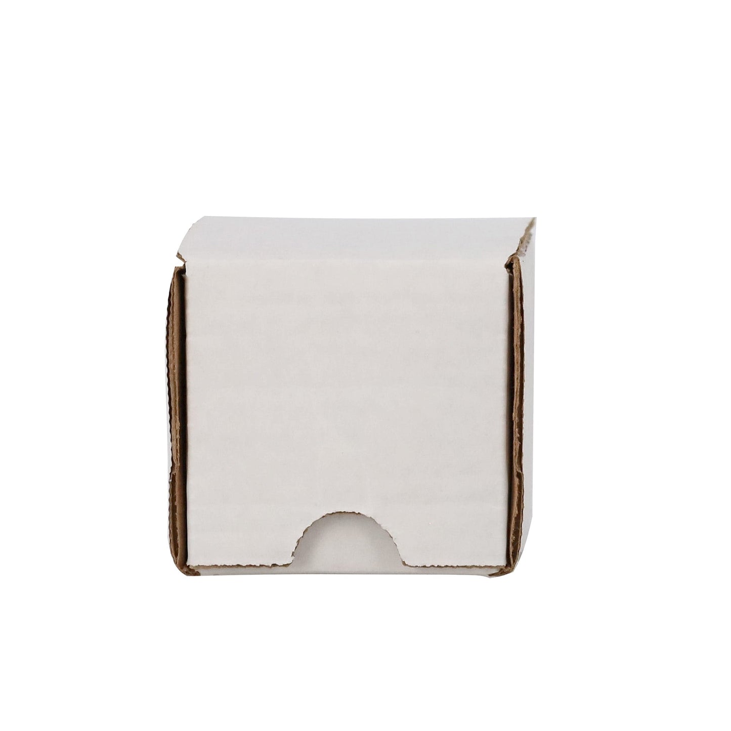 (50) 100 Count Storage Box