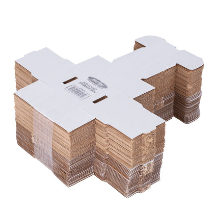 (50) 200 Count Storage Box