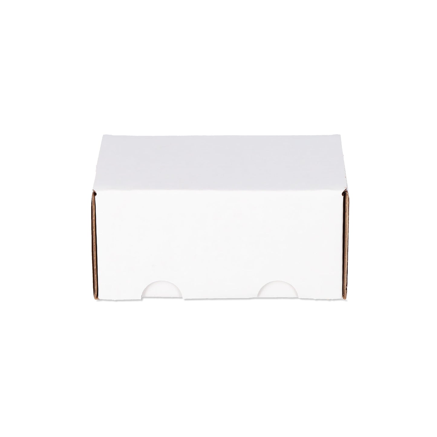 (50) 300 Count Storage Box