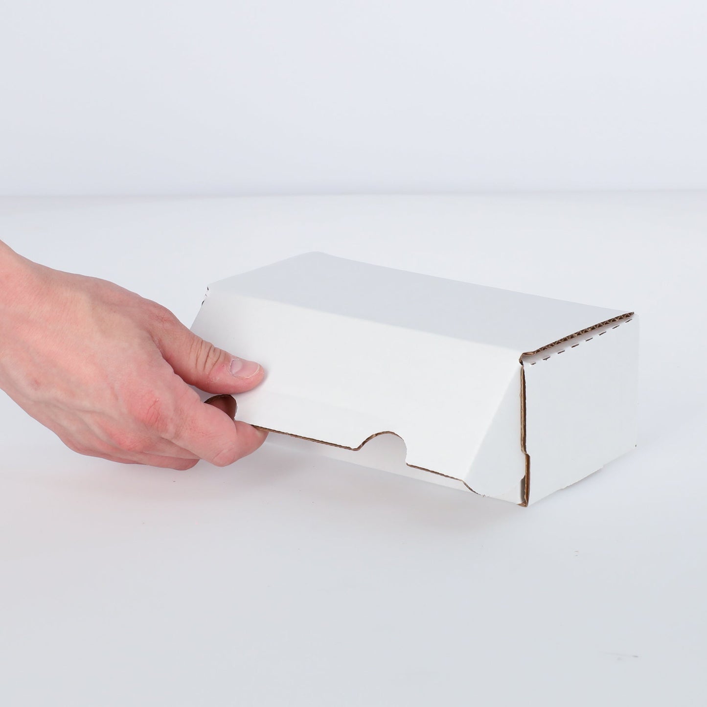 (50) 400 Count Storage Box