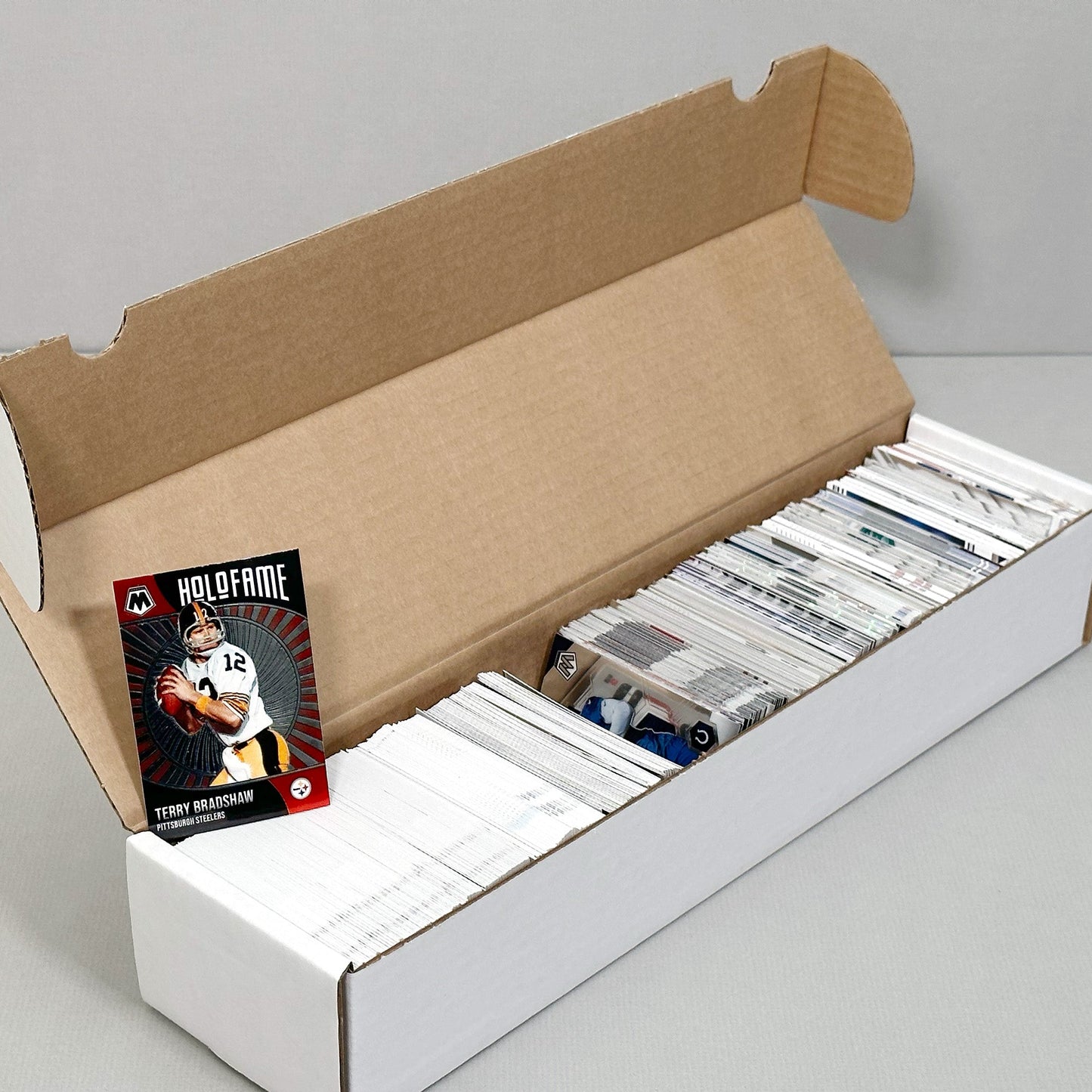(50) 930 Count Storage Box